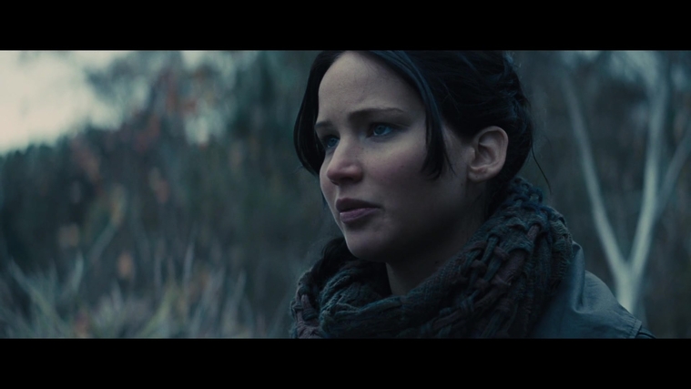 The_Hunger_Games_Catching_Fire_2013_1080p_BluRay_x264_AAC_-_Ozlem_02844.jpg