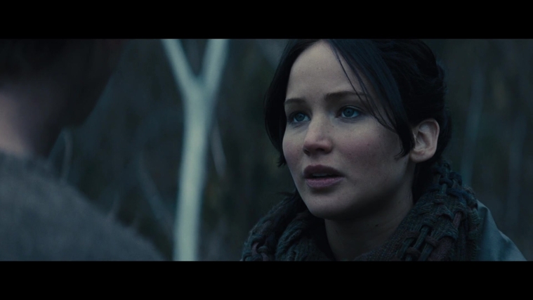 The_Hunger_Games_Catching_Fire_2013_1080p_BluRay_x264_AAC_-_Ozlem_02853.jpg
