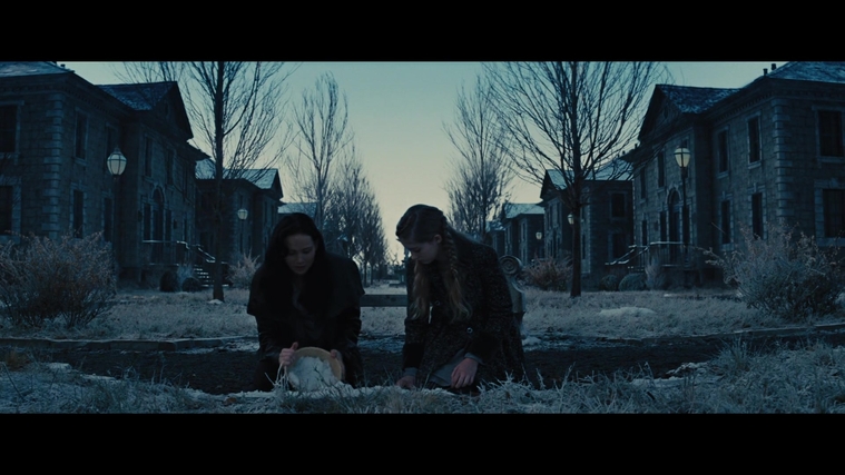 The_Hunger_Games_Catching_Fire_2013_1080p_BluRay_x264_AAC_-_Ozlem_03577.jpg