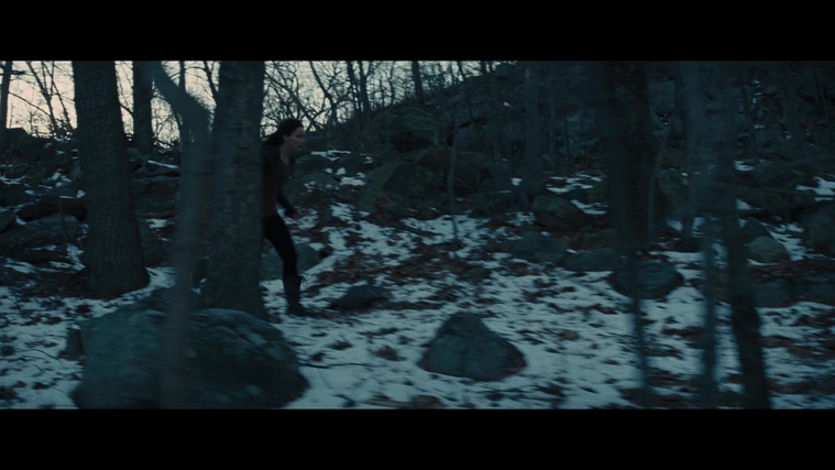 The_Hunger_Games_Catching_Fire_2013_1080p_BluRay_x264_AAC_-_Ozlem_03849.jpg