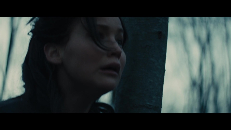 The_Hunger_Games_Catching_Fire_2013_1080p_BluRay_x264_AAC_-_Ozlem_03857.jpg