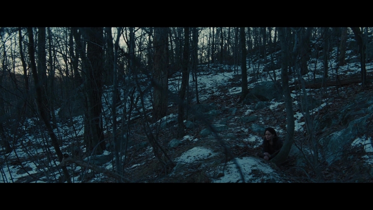 The_Hunger_Games_Catching_Fire_2013_1080p_BluRay_x264_AAC_-_Ozlem_03875.jpg