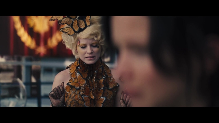 The_Hunger_Games_Catching_Fire_2013_1080p_BluRay_x264_AAC_-_Ozlem_04130.jpg