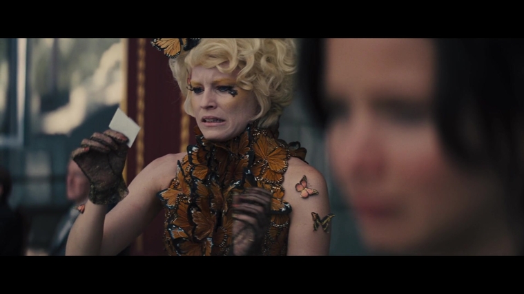 The_Hunger_Games_Catching_Fire_2013_1080p_BluRay_x264_AAC_-_Ozlem_04141.jpg