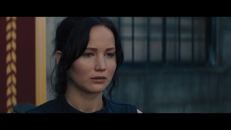 The_Hunger_Games_Catching_Fire_2013_1080p_BluRay_x264_AAC_-_Ozlem_04155.jpg
