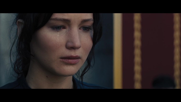 The_Hunger_Games_Catching_Fire_2013_1080p_BluRay_x264_AAC_-_Ozlem_04221.jpg