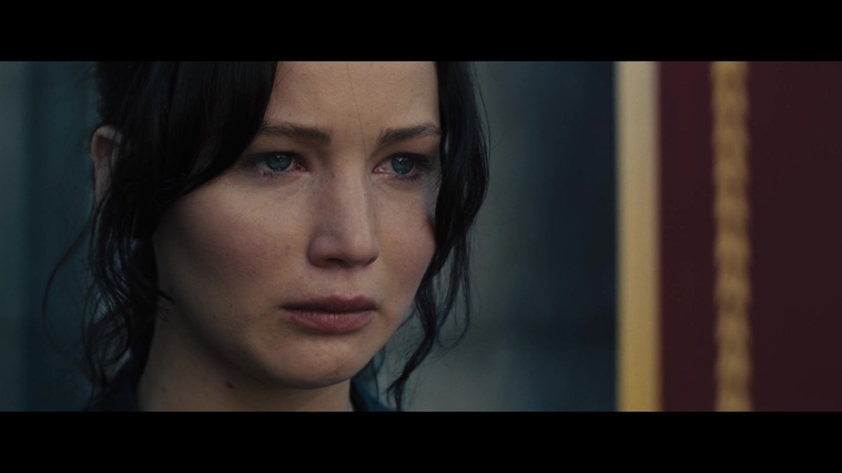 The_Hunger_Games_Catching_Fire_2013_1080p_BluRay_x264_AAC_-_Ozlem_04246.jpg