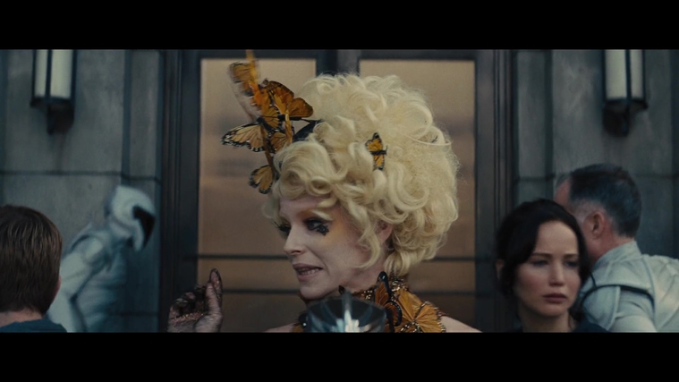 The_Hunger_Games_Catching_Fire_2013_1080p_BluRay_x264_AAC_-_Ozlem_04264.jpg