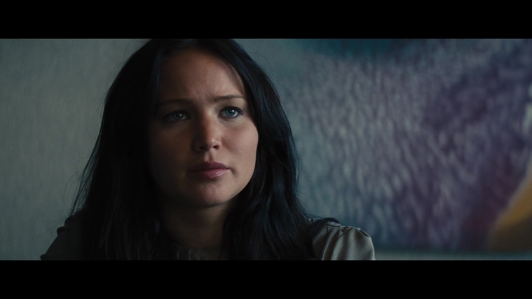 The_Hunger_Games_Catching_Fire_2013_1080p_BluRay_x264_AAC_-_Ozlem_04562.jpg