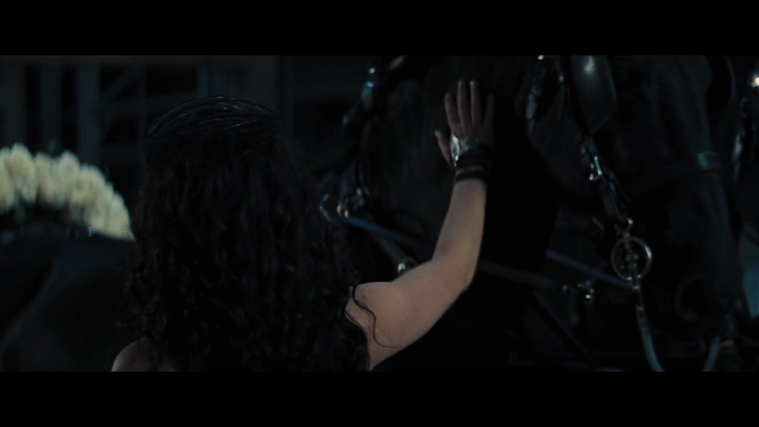 The_Hunger_Games_Catching_Fire_2013_1080p_BluRay_x264_AAC_-_Ozlem_04601.jpg