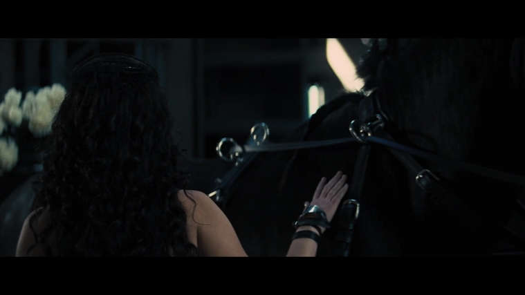 The_Hunger_Games_Catching_Fire_2013_1080p_BluRay_x264_AAC_-_Ozlem_04603.jpg