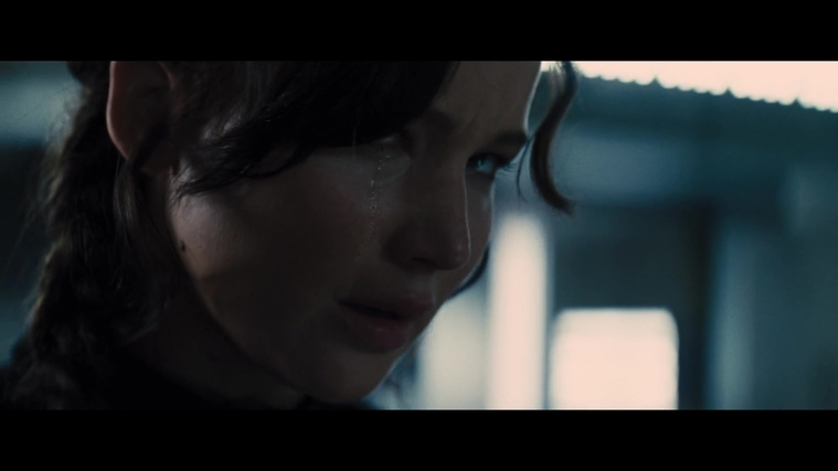 The_Hunger_Games_Catching_Fire_2013_1080p_BluRay_x264_AAC_-_Ozlem_05533.jpg