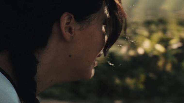 The_Hunger_Games_Catching_Fire_2013_1080p_BluRay_x264_AAC_-_Ozlem_06822.jpg