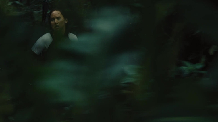 The_Hunger_Games_Catching_Fire_2013_1080p_BluRay_x264_AAC_-_Ozlem_07026.jpg