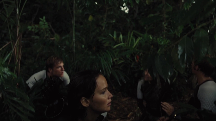 The_Hunger_Games_Catching_Fire_2013_1080p_BluRay_x264_AAC_-_Ozlem_07059.jpg
