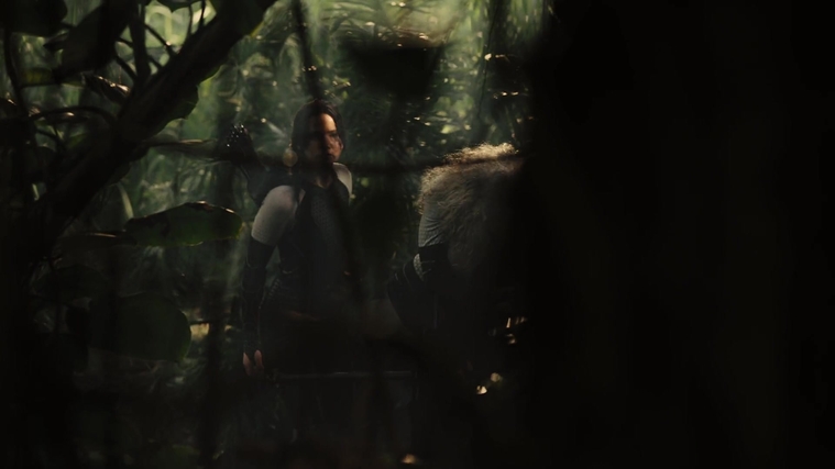 The_Hunger_Games_Catching_Fire_2013_1080p_BluRay_x264_AAC_-_Ozlem_07150.jpg