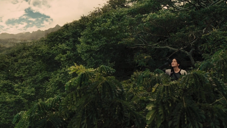 The_Hunger_Games_Catching_Fire_2013_1080p_BluRay_x264_AAC_-_Ozlem_07421.jpg