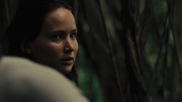 The_Hunger_Games_Catching_Fire_2013_1080p_BluRay_x264_AAC_-_Ozlem_07497.jpg