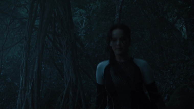 The_Hunger_Games_Catching_Fire_2013_1080p_BluRay_x264_AAC_-_Ozlem_07597.jpg