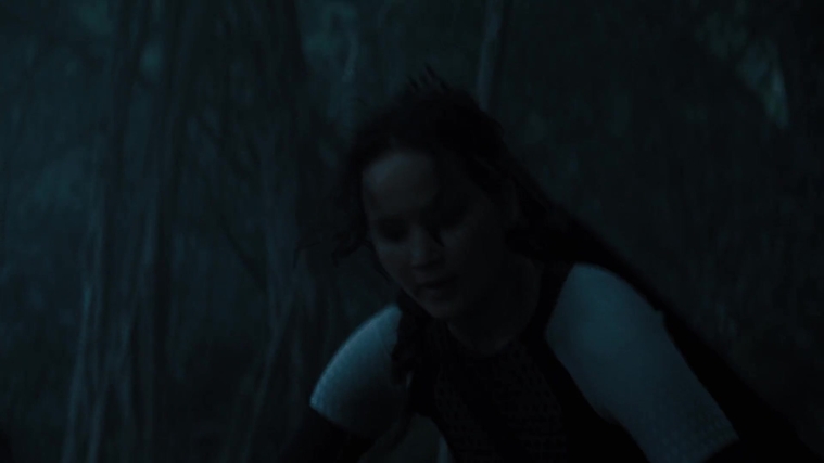 The_Hunger_Games_Catching_Fire_2013_1080p_BluRay_x264_AAC_-_Ozlem_07598.jpg