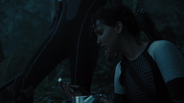 The_Hunger_Games_Catching_Fire_2013_1080p_BluRay_x264_AAC_-_Ozlem_07614.jpg