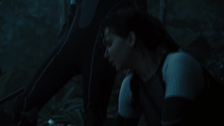 The_Hunger_Games_Catching_Fire_2013_1080p_BluRay_x264_AAC_-_Ozlem_07616.jpg