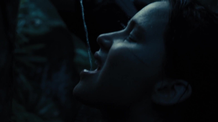 The_Hunger_Games_Catching_Fire_2013_1080p_BluRay_x264_AAC_-_Ozlem_07660.jpg
