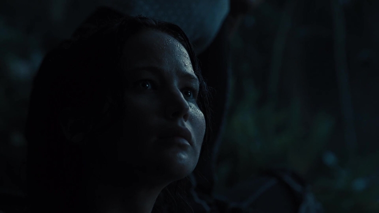 The_Hunger_Games_Catching_Fire_2013_1080p_BluRay_x264_AAC_-_Ozlem_07722.jpg