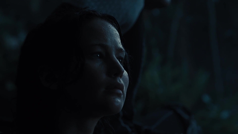 The_Hunger_Games_Catching_Fire_2013_1080p_BluRay_x264_AAC_-_Ozlem_07725.jpg