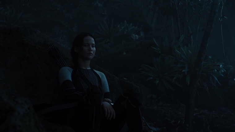 The_Hunger_Games_Catching_Fire_2013_1080p_BluRay_x264_AAC_-_Ozlem_07781.jpg