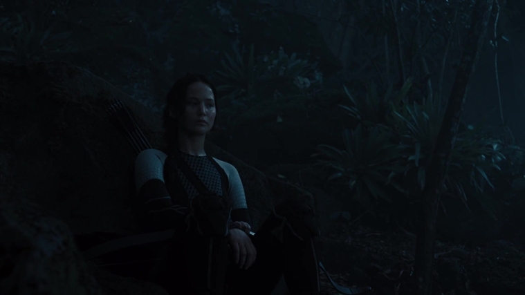 The_Hunger_Games_Catching_Fire_2013_1080p_BluRay_x264_AAC_-_Ozlem_07789.jpg