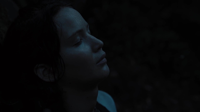 The_Hunger_Games_Catching_Fire_2013_1080p_BluRay_x264_AAC_-_Ozlem_07793.jpg