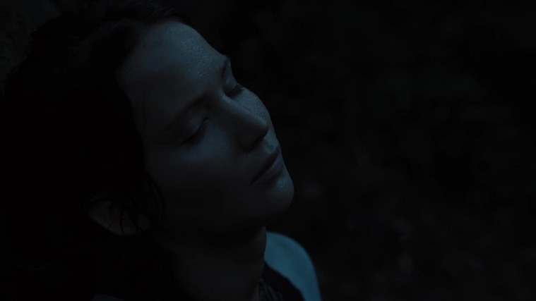 The_Hunger_Games_Catching_Fire_2013_1080p_BluRay_x264_AAC_-_Ozlem_07794.jpg