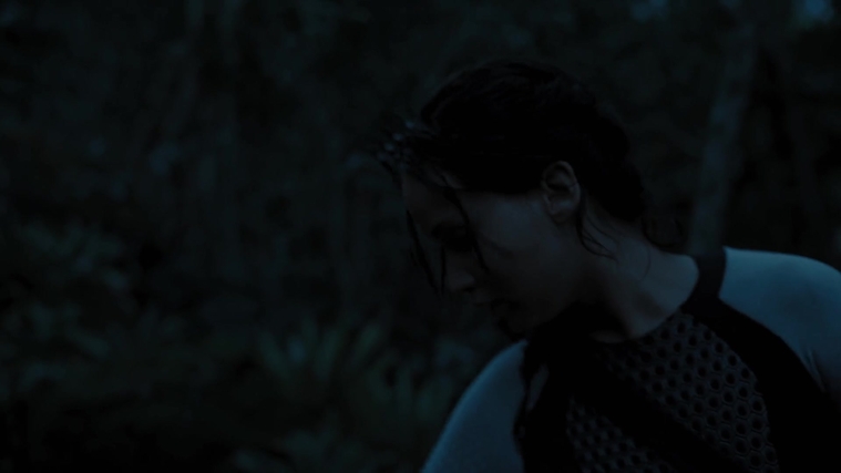 The_Hunger_Games_Catching_Fire_2013_1080p_BluRay_x264_AAC_-_Ozlem_07806.jpg