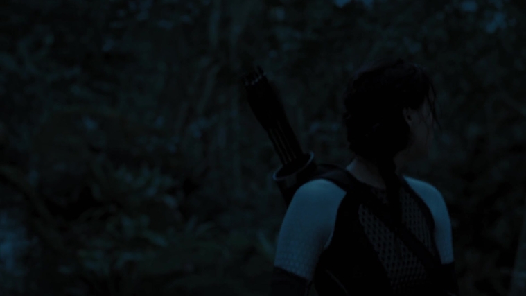 The_Hunger_Games_Catching_Fire_2013_1080p_BluRay_x264_AAC_-_Ozlem_07809.jpg