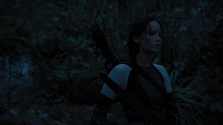 The_Hunger_Games_Catching_Fire_2013_1080p_BluRay_x264_AAC_-_Ozlem_07815.jpg