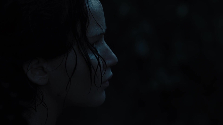 The_Hunger_Games_Catching_Fire_2013_1080p_BluRay_x264_AAC_-_Ozlem_07834.jpg