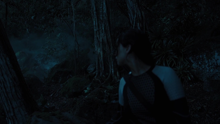 The_Hunger_Games_Catching_Fire_2013_1080p_BluRay_x264_AAC_-_Ozlem_07841.jpg