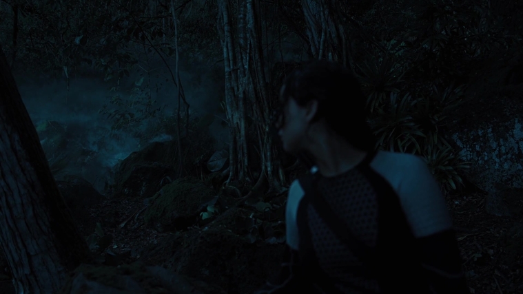 The_Hunger_Games_Catching_Fire_2013_1080p_BluRay_x264_AAC_-_Ozlem_07843.jpg