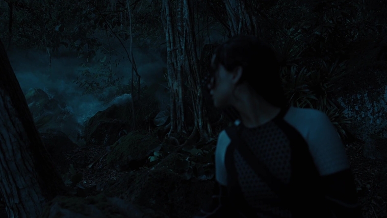 The_Hunger_Games_Catching_Fire_2013_1080p_BluRay_x264_AAC_-_Ozlem_07845.jpg
