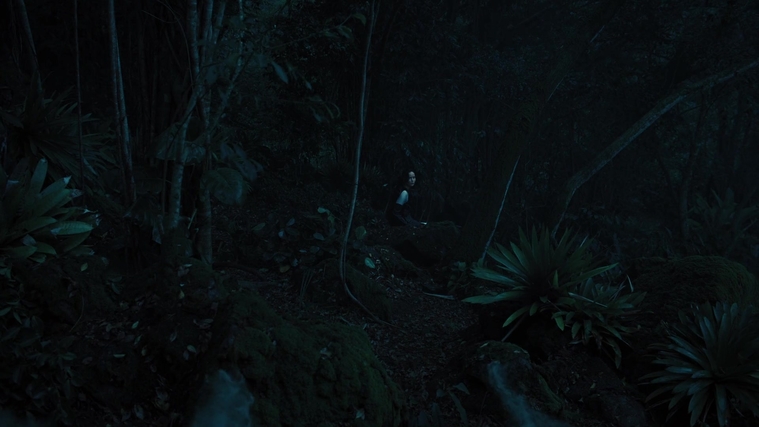 The_Hunger_Games_Catching_Fire_2013_1080p_BluRay_x264_AAC_-_Ozlem_07846.jpg