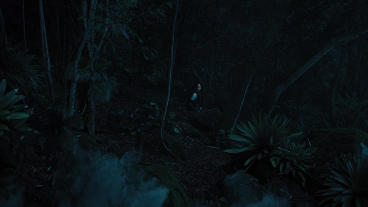 The_Hunger_Games_Catching_Fire_2013_1080p_BluRay_x264_AAC_-_Ozlem_07848.jpg