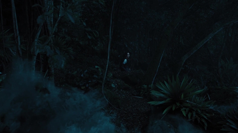 The_Hunger_Games_Catching_Fire_2013_1080p_BluRay_x264_AAC_-_Ozlem_07850.jpg