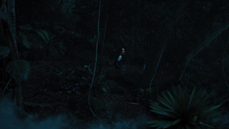 The_Hunger_Games_Catching_Fire_2013_1080p_BluRay_x264_AAC_-_Ozlem_07854.jpg