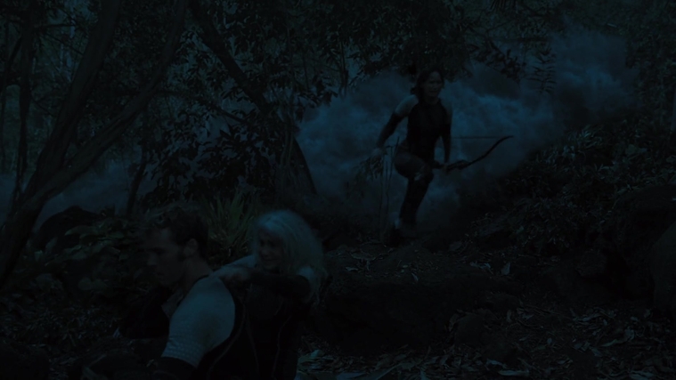 The_Hunger_Games_Catching_Fire_2013_1080p_BluRay_x264_AAC_-_Ozlem_07886.jpg