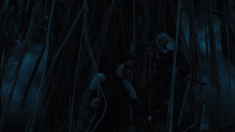 The_Hunger_Games_Catching_Fire_2013_1080p_BluRay_x264_AAC_-_Ozlem_07896.jpg
