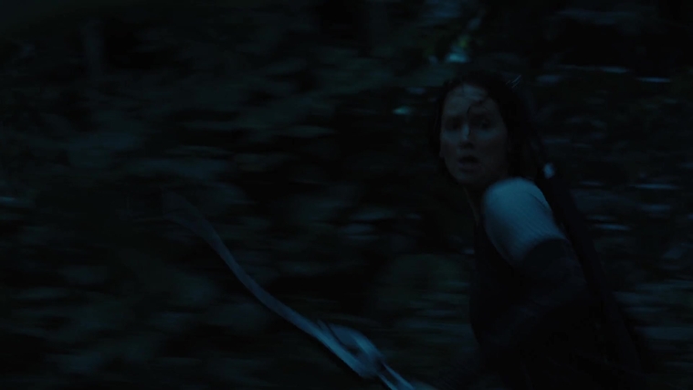The_Hunger_Games_Catching_Fire_2013_1080p_BluRay_x264_AAC_-_Ozlem_07917.jpg