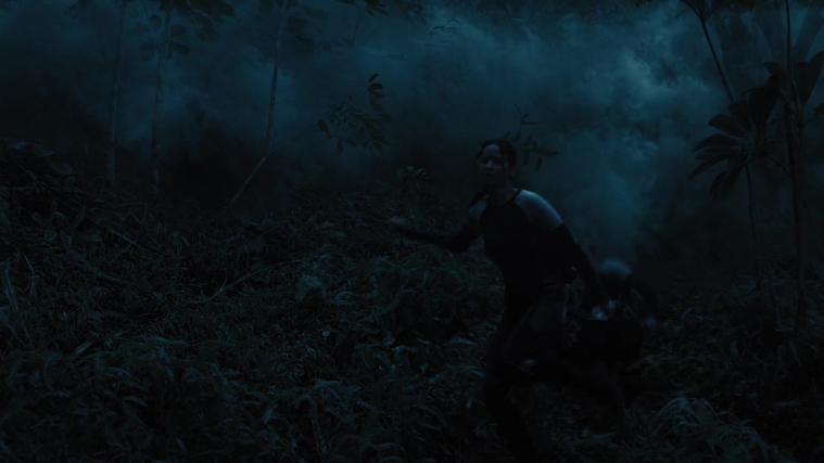 The_Hunger_Games_Catching_Fire_2013_1080p_BluRay_x264_AAC_-_Ozlem_07962.jpg