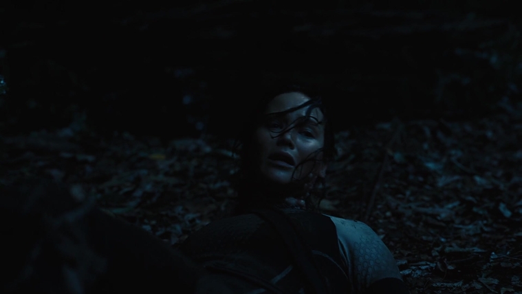 The_Hunger_Games_Catching_Fire_2013_1080p_BluRay_x264_AAC_-_Ozlem_08095.jpg