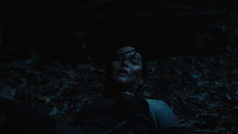 The_Hunger_Games_Catching_Fire_2013_1080p_BluRay_x264_AAC_-_Ozlem_08096.jpg